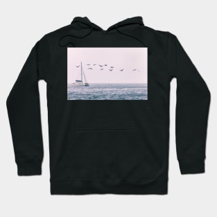 Boat and Pelicans Hoodie